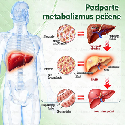 🎁 Zostáva už len 5 balení! Teraz získate extra 50 % zľavu! Buďte zdraví a vo forme. Ak túto príležitosť nevyužijete teraz, ďalšia šanca bude až budúci rok!